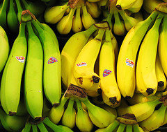 Bananas Big - Normal