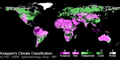 Climate Classification - Magenta Green