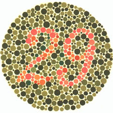 Color Blindness Test Chart Download