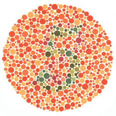 Ishihara Test Book 38 Platten für Farbenblindheit Sehtest mit Okkluder 