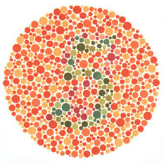 Ishihara Test Chart