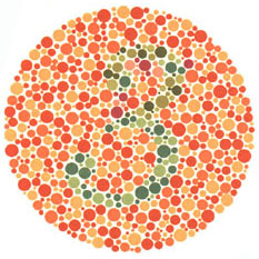Ishihara S Test For Colour Deficiency 38 Plates Edition Colblindor,How To Paint Cabinets Black