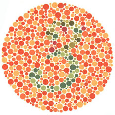 Color Blindness Test Chart Download