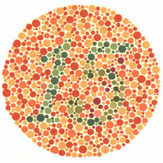 Ishihara Color Blind Chart