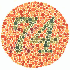 Color Blindness Test Chart Download