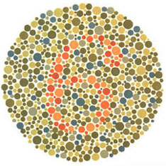 Colour Blindness Chart