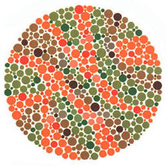 Ishihara Plate 19 of 38