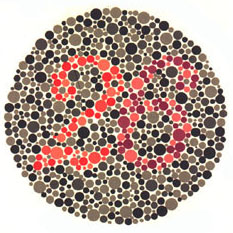 Ishihara Plate 22 of 38