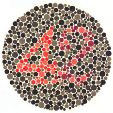 Ishihara Plate 23 of 38