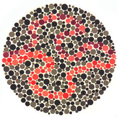 Ishihara Plate 27 of 38