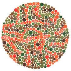 Ishihara Plate 29 of 38