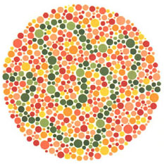 Color Blindness Test Chart Download