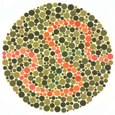 Ishihara Plate 37 of 38