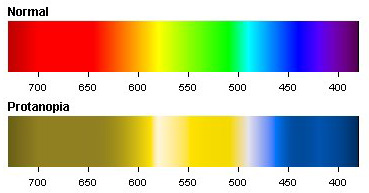 Protanopia-Color-Spectrum.jpg