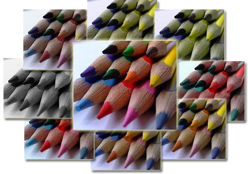 Color Blindness Simulator Example Color Blindness Simulator: Example Picture