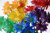 Colourful Bouquet