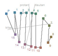 D-15 Protan Test Result