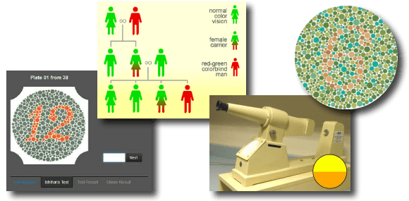 Red-Green Color Blind Tests: Types and How to Check